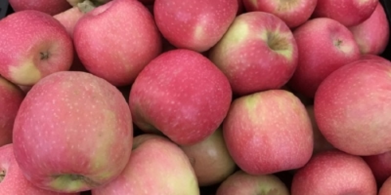 STARKING Apple