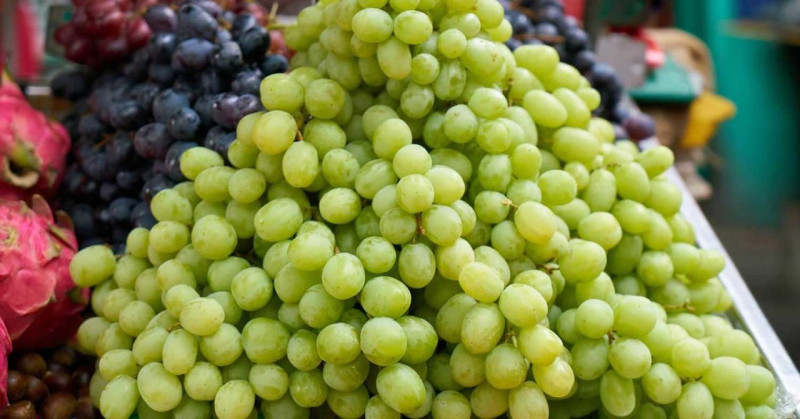 Yalva grape